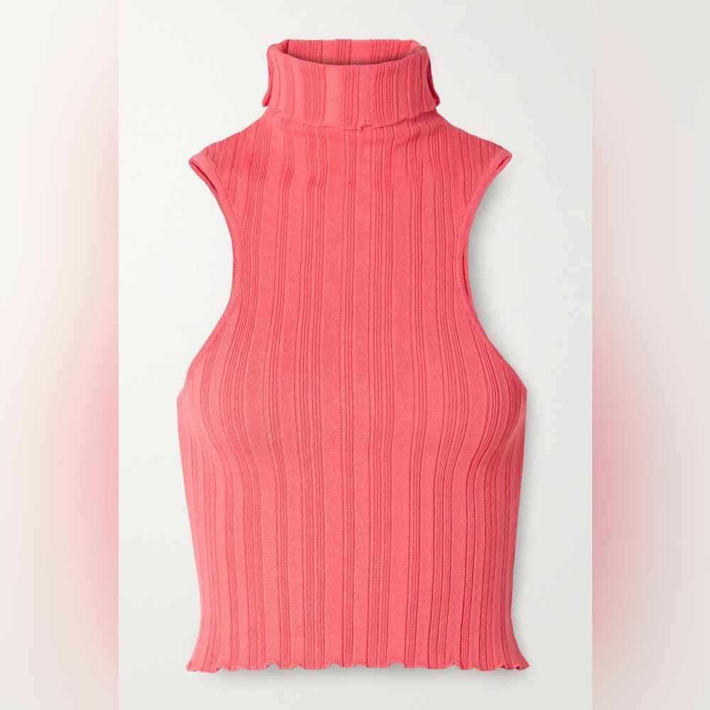 Etta Ribbed- Knit Turtleneck top